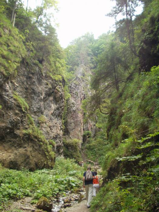 creek walk near Terchová creek walk near Terchová