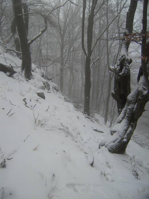 Winter on the Vápeč near Horná Poruba Winter on the Vápeč near Horná Poruba