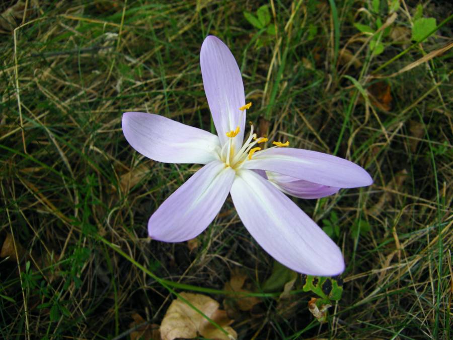 what a nice find! what a nice find!