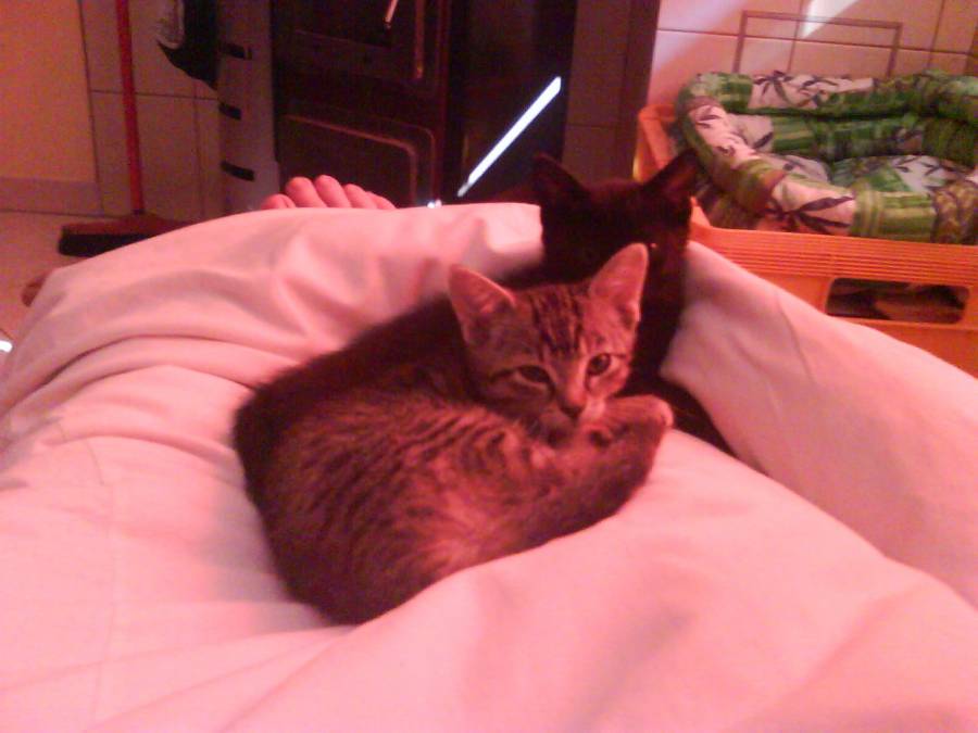 a gift in the morning a gift in the morning